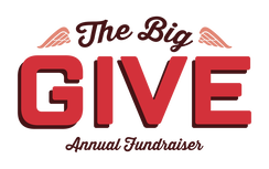 the-big-give-logo-full-color-use-this-one
